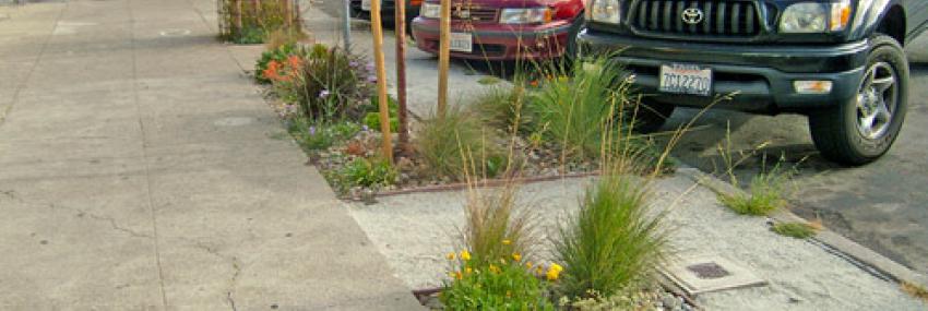 Sidewalk Landscaping